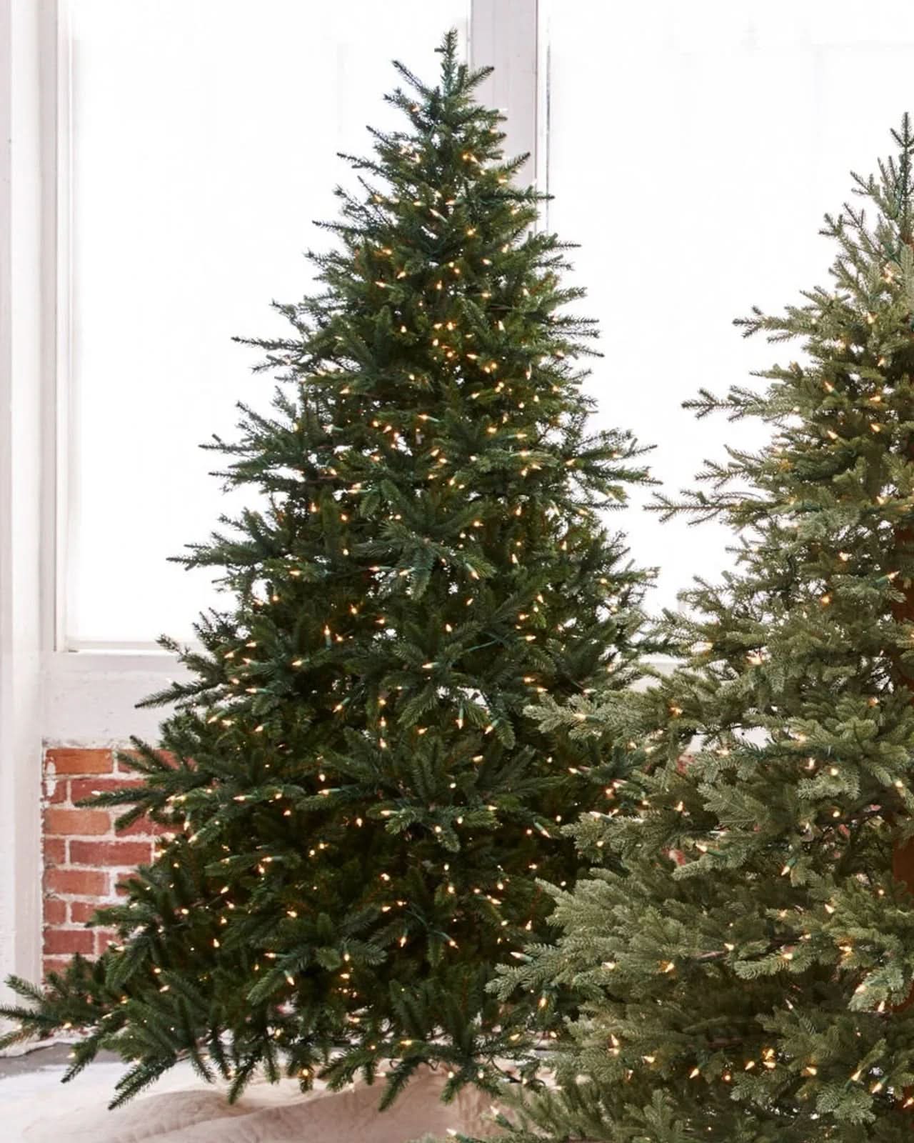 Árvore de Natal California Baby Redwood com Galhos Articulados, Suporte Metálico e Micro LEDs Embutidos